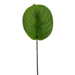 RAMO CALATHEA 3D REAL TOUCH 61 CM verde (Cod. 41019-01)