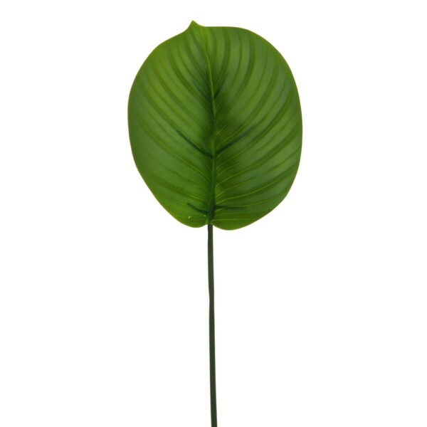 RAMO CALATHEA 3D REAL TOUCH 61 CM verde (Cod. 41019-01)