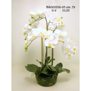 PIANTA PHALAENOPSIS 79 CM crema (Cod. 40918-01)