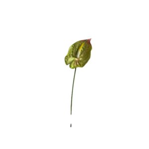 RAMO ANTHURIUM 70 CM verde (Cod. 41137-03)