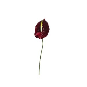 RAMO ANTHURIUM 70 CM rosso (Cod. 41137-01)