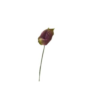 RAMO ANTHURIUM 70 CM verde-lilla (Cod. 41137-05)