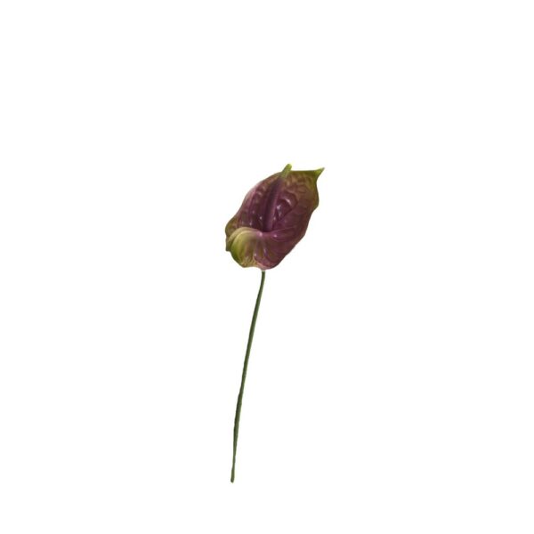 RAMO ANTHURIUM 70 CM verde-lilla (Cod. 41137-05)