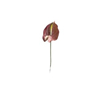 RAMO ANTHURIUM 70 CM rosa (Cod. 41137-04)