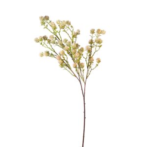 RAMO GRASS FLOWER  X5 70 CM verde-crema (Cod. 41134-01)