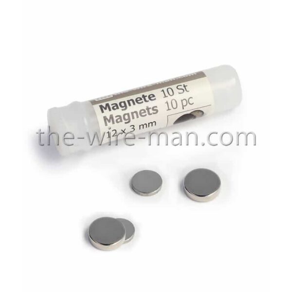 10 PZ. CALAMITA/MAGNETE CON DISCO METALLO MM 12 X 3 MM   (Cod. 41142-01)