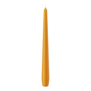 SET 12 CANDELE CONICHE H25 D2,5 CM natur (Cod. 9872-57)