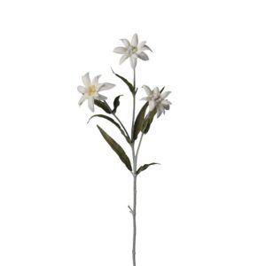 RAMO STELLA ALPINA X3 50 CM bianco (Cod. 41291-01)