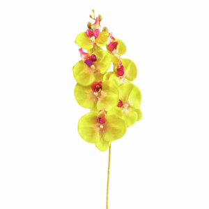 RAMO ORCHIDEA X7 FIORI 16X16X72 CM verde (Cod. 40301-02)