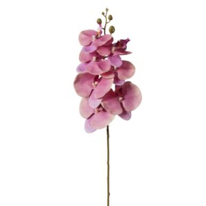 RAMO ORCHIDEA X7 FIORI 16X16X72 CM rosa (Cod. 40301-03)