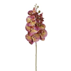 RAMO ORCHIDEA X7 FIORI 16X16X72 CM rosa-giallo (Cod. 40301-04)