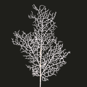 RAMO CORALLO 80 CM bianco (Cod. 41176-01)