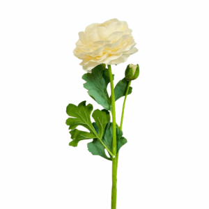 RAMO RANUNCULUS REAL TOUCH 47 CM crema (Cod. 39580-03)