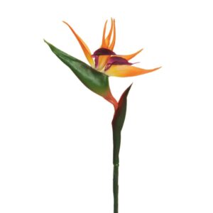 RAMO STERLITZIA BIRDS OF PARADISE  arancione (Cod. 41233-01)