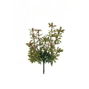 [27] PIANTA PEPEROMIA 27 CM verde (Cod. 41239-01)