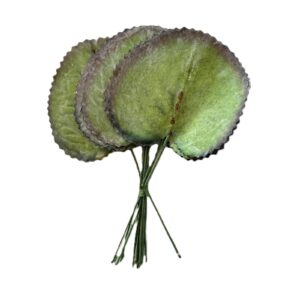 12 PZ. FOGLIE H16  verde (Cod. 32451-01)