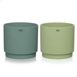 SET 2 PZ.  CASPO' D24,5 H24 CM verde (Cod. 41247-01)