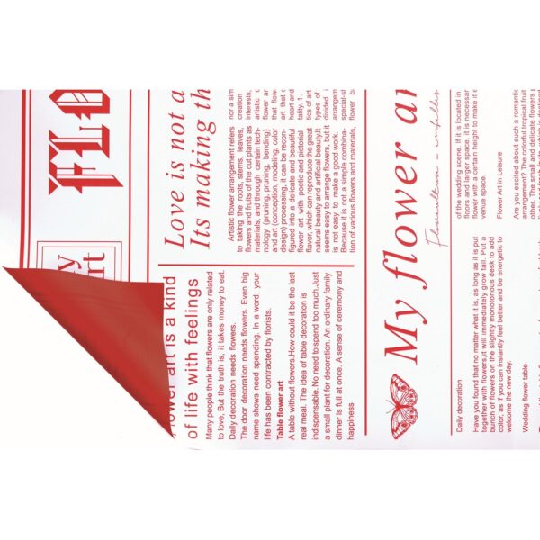 12 PZ. FOGLI  FLOWER JOURNAL  60MY 58X58 CM  rosso (Cod. 41068-03)