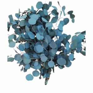 POPULUS STABILIZZATO  verde (Cod. 41185-01)