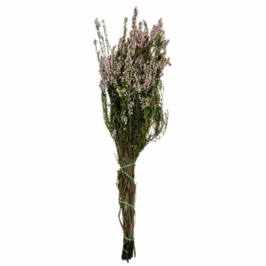 ERICA STABILIZZATA  (Cod. 41190-01)