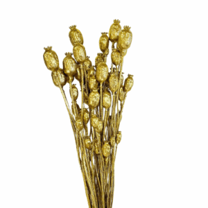 PAPAVERI SECCHI BRILLANTINATI BUSTA GR.120  oro (Cod. 41330-01)