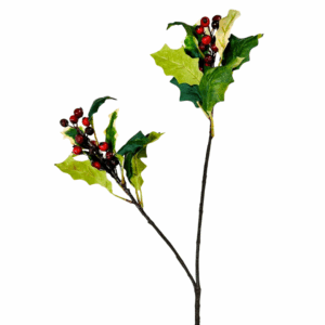 RAMO PUNGITOPO X2  rosso (Cod. 10361-01)