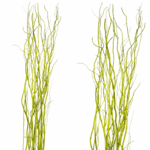 RAMO WILLOW CM130 X10 PZ verde-oliva- (Cod. 41319-04)