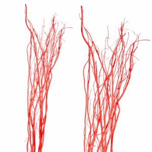 RAMO WILLOW CM130 X10 PZ rosso (Cod. 41319-03)