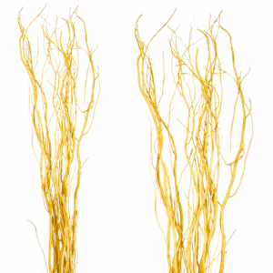 RAMO WILLOW CM130 X10 PZ giallo-ocra (Cod. 41319-05)