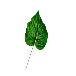 ASSORTIMENTO FOGLIE  48 PZ  (Cod. 24745-01)