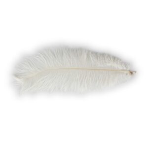 SET 5 PZ. PIUMA H30-35 CM bianco (Cod. 41535-01)