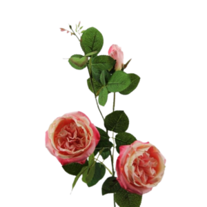 RAMO ROSA APERTA X3 CM74 fucsia (Cod. 28548-02)