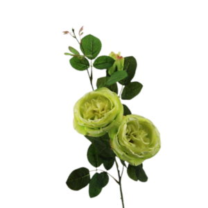 RAMO ROSA APERTA X3 CM74 verde (Cod. 28548-03)