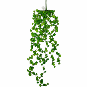 CADENTE SUCCULENTIA 70 CM  (Cod. 25841-01)