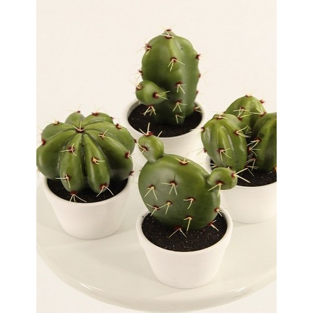 [7,5] CACTUS 7,5 CM  (Cod. 28586-01)