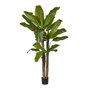 [220] PIANTA BANANO X3 IN VASO H220  (Cod. 41699-01)