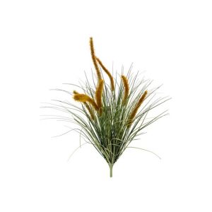 VERONICA DOGTAIL 60 CM  (Cod. 41724-01)