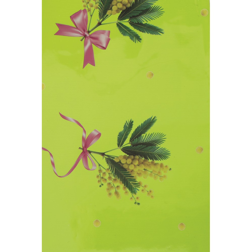 100 CONI STAMP. CHANELLE MIMOSA 35MY 15X10X20 CM verde-pisello (Cod. 41493-05)