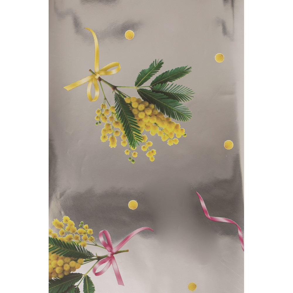 100 CONI STAMP. CHANELLE MIMOSA 35MY 15X10X20 CM argento (Cod. 41493-01)