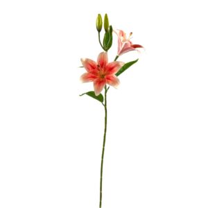 RAMO GIGLIO TIGRATO CON 2 FIORI E 2 BOCCIOLI rosso (Cod. 41703-01)
