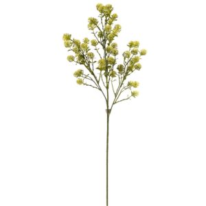 RAMO CARDO X3 H69 CM crema (Cod. 41700-01)