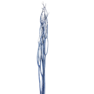 MITSUMATA COLORATO H100 CM blu-slavato (Cod. 9611-01)