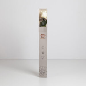 GIFT BOX AMOROSA STANDARD H55 D. TESTA 5-6 CM vaniglia (Cod. 9311-15)