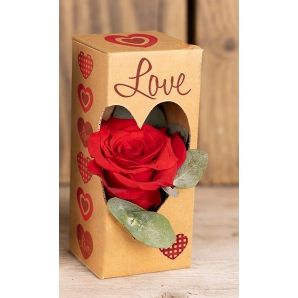 SET 6 PZ.SCATOLA VICHY LOVE CON FINESTRA CUORE D7 H16 CM avana (Cod. 41507-01)
