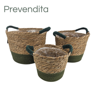 MIRATRADE SET 3 CESTI D25 H21-D22 H19-D17 H14 CM verde (Cod. 42093-02)