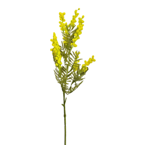 RAMO MIMOSA X11 H80 CM giallo (Cod. 42005-01)