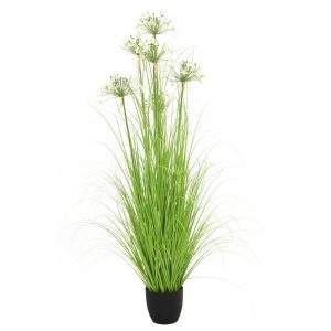 [170] PIANTA LEEK FLOWER H170 CM  (Cod. 41785-01)