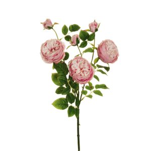 ROSE RAMO AUSTIN CON 3 FOGLIE E 3 BOCCIOLI rosa (Cod. 41877-01)