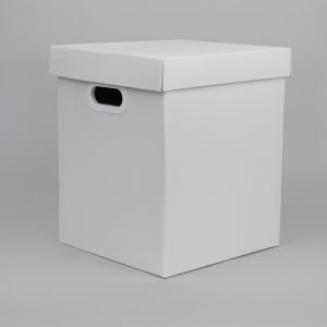 BOUQUET BOX CARTA GOFFRATA 350GR 30X30 H35 CM   (Cod. 41770-01)