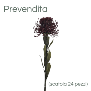 MIRATRADE RAMO PROTEA D11 H60 CM burgundy (Cod. 42141-01)